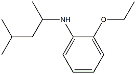 2-ethoxy-N-(4-methylpentan-2-yl)aniline Struktur