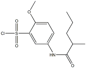 2-methoxy-5-(2-methylpentanamido)benzene-1-sulfonyl chloride Struktur