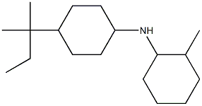 2-methyl-N-[4-(2-methylbutan-2-yl)cyclohexyl]cyclohexan-1-amine Struktur