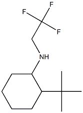 2-tert-butyl-N-(2,2,2-trifluoroethyl)cyclohexan-1-amine Struktur