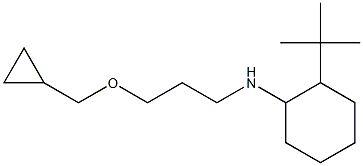 2-tert-butyl-N-[3-(cyclopropylmethoxy)propyl]cyclohexan-1-amine Struktur