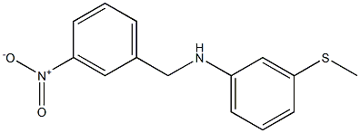 3-(methylsulfanyl)-N-[(3-nitrophenyl)methyl]aniline Struktur