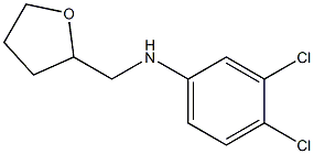 3,4-dichloro-N-(oxolan-2-ylmethyl)aniline Struktur