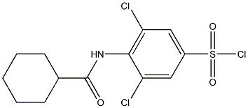 3,5-dichloro-4-cyclohexaneamidobenzene-1-sulfonyl chloride Struktur