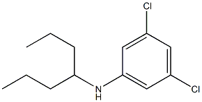 3,5-dichloro-N-(heptan-4-yl)aniline Struktur