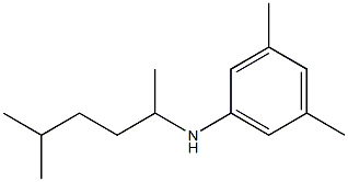 3,5-dimethyl-N-(5-methylhexan-2-yl)aniline Struktur