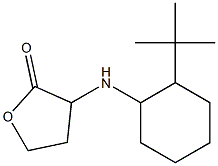 3-[(2-tert-butylcyclohexyl)amino]oxolan-2-one Struktur