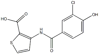 3-[(3-chloro-4-hydroxybenzene)amido]thiophene-2-carboxylic acid Struktur