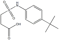 3-[(4-tert-butylphenyl)sulfamoyl]propanoic acid Struktur