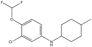 3-chloro-4-(difluoromethoxy)-N-(4-methylcyclohexyl)aniline Struktur