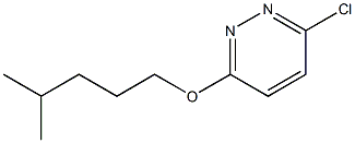 3-chloro-6-[(4-methylpentyl)oxy]pyridazine Struktur