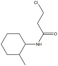 3-chloro-N-(2-methylcyclohexyl)propanamide Struktur