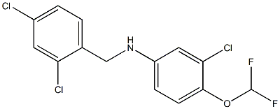 3-chloro-N-[(2,4-dichlorophenyl)methyl]-4-(difluoromethoxy)aniline Struktur