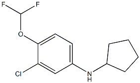 3-chloro-N-cyclopentyl-4-(difluoromethoxy)aniline Struktur