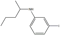 3-iodo-N-(pentan-2-yl)aniline Struktur