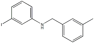 3-iodo-N-[(3-methylphenyl)methyl]aniline Struktur