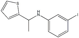 3-iodo-N-[1-(thiophen-2-yl)ethyl]aniline Struktur