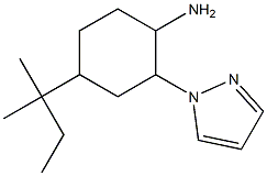 4-(1,1-dimethylpropyl)-2-(1H-pyrazol-1-yl)cyclohexanamine Struktur