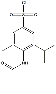 4-(2,2-dimethylpropanamido)-3-methyl-5-(propan-2-yl)benzene-1-sulfonyl chloride Struktur