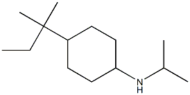 4-(2-methylbutan-2-yl)-N-(propan-2-yl)cyclohexan-1-amine Struktur