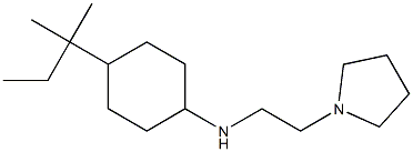 4-(2-methylbutan-2-yl)-N-[2-(pyrrolidin-1-yl)ethyl]cyclohexan-1-amine Struktur