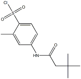 4-(3,3-dimethylbutanamido)-2-methylbenzene-1-sulfonyl chloride Struktur