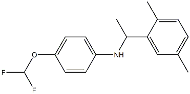 4-(difluoromethoxy)-N-[1-(2,5-dimethylphenyl)ethyl]aniline Struktur