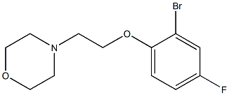 4-[2-(2-bromo-4-fluorophenoxy)ethyl]morpholine Struktur