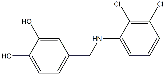 4-{[(2,3-dichlorophenyl)amino]methyl}benzene-1,2-diol Struktur