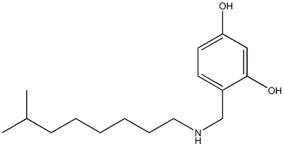 4-{[(7-methyloctyl)amino]methyl}benzene-1,3-diol Struktur