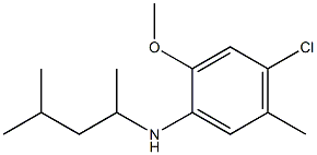 4-chloro-2-methoxy-5-methyl-N-(4-methylpentan-2-yl)aniline Struktur