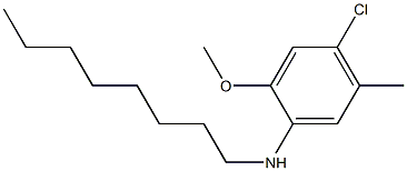 4-chloro-2-methoxy-5-methyl-N-octylaniline Struktur