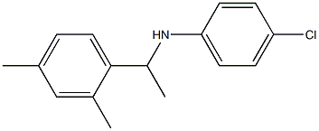 4-chloro-N-[1-(2,4-dimethylphenyl)ethyl]aniline Struktur