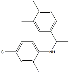 4-chloro-N-[1-(3,4-dimethylphenyl)ethyl]-2-methylaniline Struktur