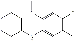 4-chloro-N-cyclohexyl-2-methoxy-5-methylaniline Struktur