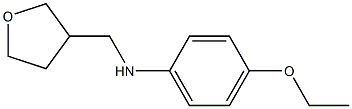 4-ethoxy-N-(oxolan-3-ylmethyl)aniline Struktur