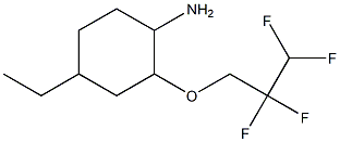 4-ethyl-2-(2,2,3,3-tetrafluoropropoxy)cyclohexan-1-amine Struktur