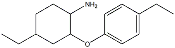 4-ethyl-2-(4-ethylphenoxy)cyclohexan-1-amine Struktur