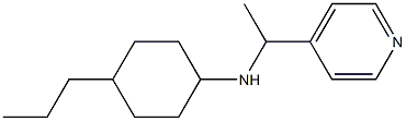 4-propyl-N-[1-(pyridin-4-yl)ethyl]cyclohexan-1-amine Struktur