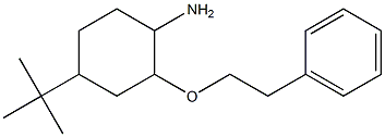 4-tert-butyl-2-(2-phenylethoxy)cyclohexan-1-amine Struktur