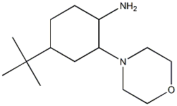 4-tert-butyl-2-morpholin-4-ylcyclohexanamine Struktur