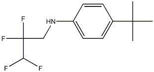 4-tert-butyl-N-(2,2,3,3-tetrafluoropropyl)aniline Struktur