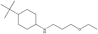 4-tert-butyl-N-(3-ethoxypropyl)cyclohexan-1-amine Struktur