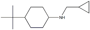 4-tert-butyl-N-(cyclopropylmethyl)cyclohexan-1-amine Struktur