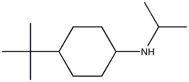 4-tert-butyl-N-(propan-2-yl)cyclohexan-1-amine Struktur