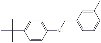 4-tert-butyl-N-[(3-methylphenyl)methyl]aniline Struktur