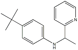 4-tert-butyl-N-[1-(pyridin-2-yl)ethyl]aniline Struktur