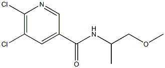 5,6-dichloro-N-(1-methoxypropan-2-yl)pyridine-3-carboxamide Struktur