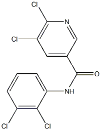 5,6-dichloro-N-(2,3-dichlorophenyl)pyridine-3-carboxamide Struktur