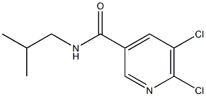 5,6-dichloro-N-(2-methylpropyl)pyridine-3-carboxamide Struktur